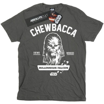 Abbigliamento Bambino T-shirt maniche corte Disney Chewbacca Collegiate Multicolore