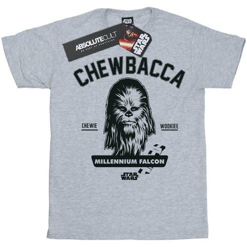 Abbigliamento Bambino T-shirt maniche corte Disney Chewbacca Collegiate Grigio