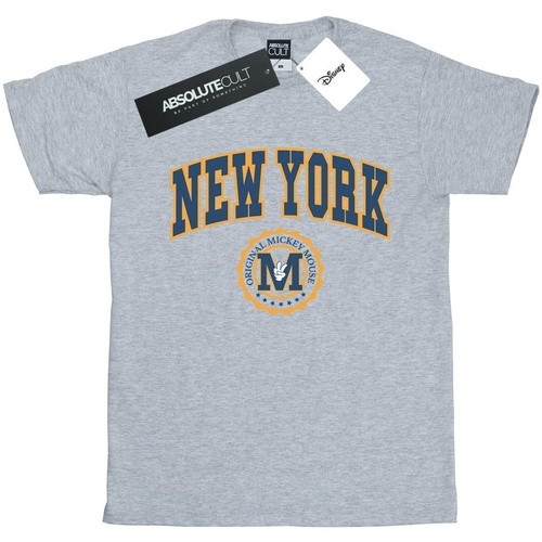 Abbigliamento Uomo T-shirts a maniche lunghe Disney Mickey Mouse New York Seal Grigio