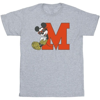 Abbigliamento Uomo T-shirts a maniche lunghe Disney Mickey Mouse Leopard Trousers Grigio