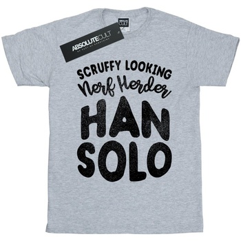 Abbigliamento Bambino T-shirt maniche corte Disney Han Solo Legends Tribute Grigio