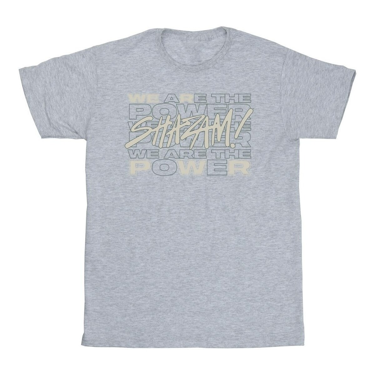 Abbigliamento Bambina T-shirts a maniche lunghe Dc Comics Shazam Fury Of The Gods We Are The Power Grigio