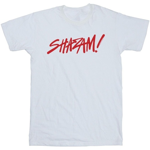 Abbigliamento Bambina T-shirts a maniche lunghe Dc Comics Shazam Fury Of The Gods Spray Paint Logo Bianco