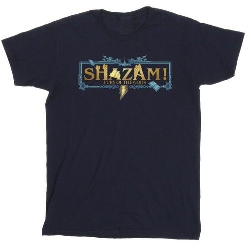 Abbigliamento Bambina T-shirts a maniche lunghe Dc Comics Shazam Fury Of The Gods Golden Logo Blu