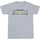 Abbigliamento Bambina T-shirts a maniche lunghe Dc Comics Shazam Fury Of The Gods Golden Logo Grigio