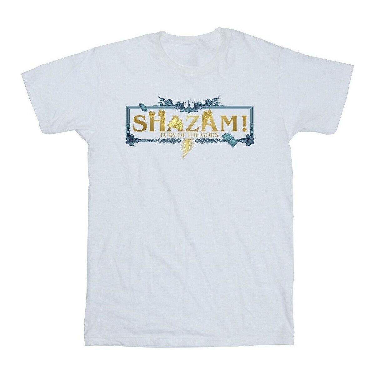 Abbigliamento Bambina T-shirts a maniche lunghe Dc Comics Shazam Fury Of The Gods Golden Logo Bianco