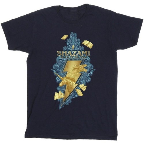 Abbigliamento Bambina T-shirts a maniche lunghe Dc Comics Shazam Fury Of The Gods Golden Animal Bolt Blu