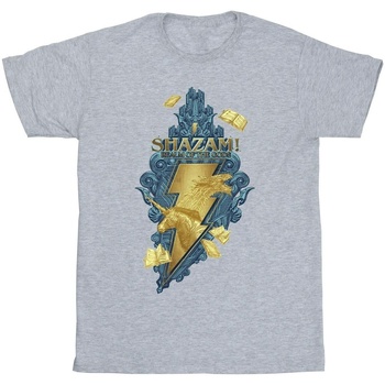 Abbigliamento Bambina T-shirts a maniche lunghe Dc Comics Shazam Fury Of The Gods Golden Animal Bolt Grigio