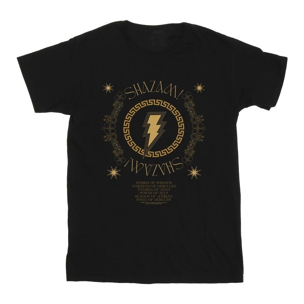 Abbigliamento Bambina T-shirts a maniche lunghe Dc Comics Shazam Fury Of The Gods Golden Spiral Chest Nero