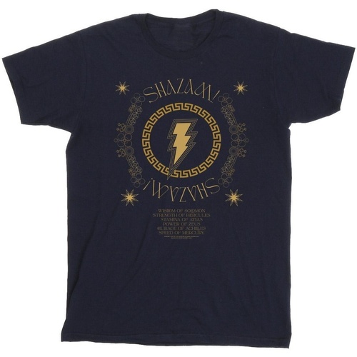 Abbigliamento Bambina T-shirts a maniche lunghe Dc Comics Shazam Fury Of The Gods Golden Spiral Chest Blu