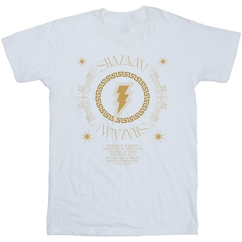 Abbigliamento Bambina T-shirts a maniche lunghe Dc Comics Shazam Fury Of The Gods Golden Spiral Chest Bianco