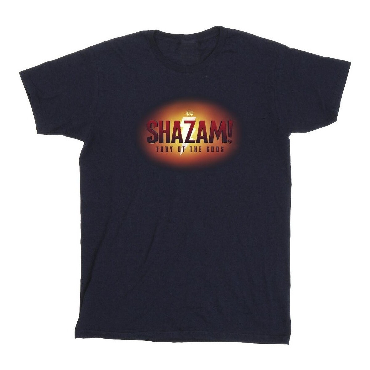 Abbigliamento Bambina T-shirts a maniche lunghe Dc Comics Shazam Fury Of The Gods 3D Logo Flare Blu