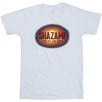 Abbigliamento Bambina T-shirts a maniche lunghe Dc Comics Shazam Fury Of The Gods 3D Logo Flare Bianco