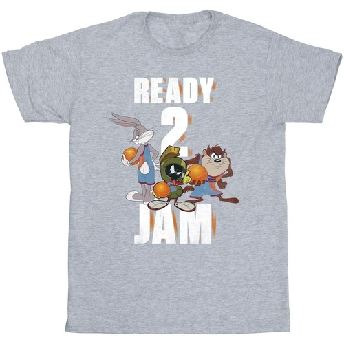 Abbigliamento Bambina T-shirts a maniche lunghe Space Jam: A New Legacy Ready 2 Jam Grigio