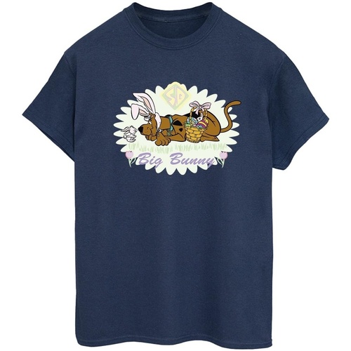 Abbigliamento Donna T-shirts a maniche lunghe Scooby Doo Big Bunny Blu