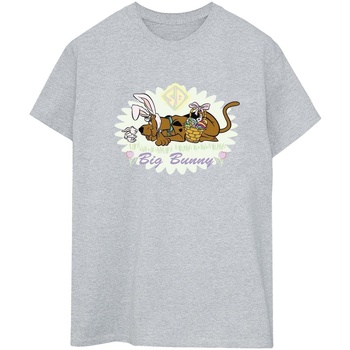 Abbigliamento Donna T-shirts a maniche lunghe Scooby Doo Big Bunny Grigio