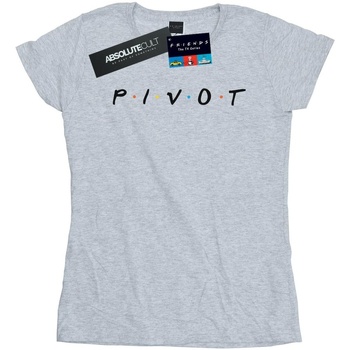 Abbigliamento Donna T-shirts a maniche lunghe Friends Pivot Logo Grigio