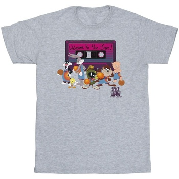Abbigliamento Bambina T-shirts a maniche lunghe Space Jam: A New Legacy Team Cassette Grigio