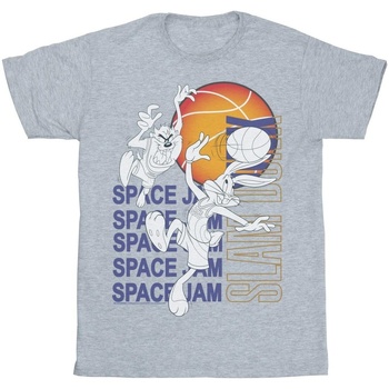 Abbigliamento Bambina T-shirts a maniche lunghe Space Jam: A New Legacy Slam Dunk Alt Grigio