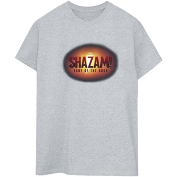 Abbigliamento Donna T-shirts a maniche lunghe Dc Comics Shazam Fury Of The Gods 3D Logo Flare Grigio
