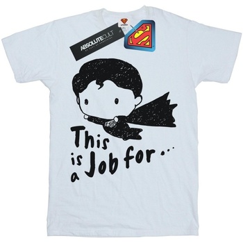 Abbigliamento Bambina T-shirts a maniche lunghe Dc Comics Superman This Is A Job For Sketch Bianco