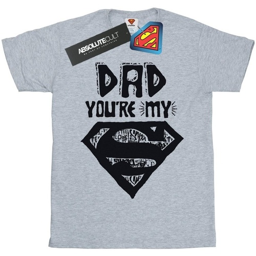 Abbigliamento Bambina T-shirts a maniche lunghe Dc Comics Superman Super Dad Grigio