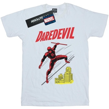 Abbigliamento Uomo T-shirts a maniche lunghe Marvel Daredevil Rooftop Bianco