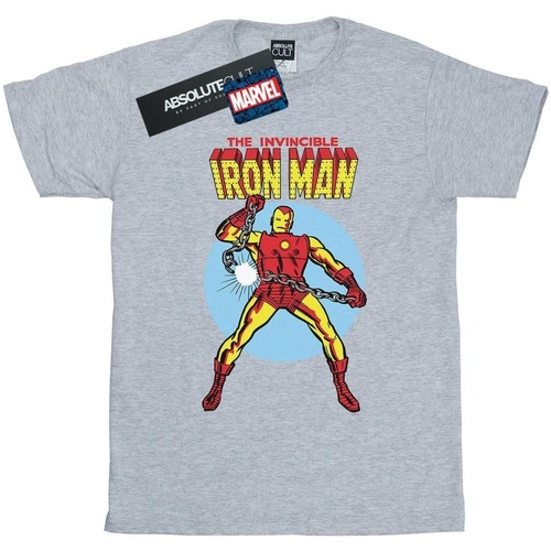 Abbigliamento Uomo T-shirts a maniche lunghe Marvel The Invincible Iron Man Grigio