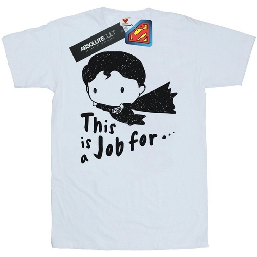 Abbigliamento Donna T-shirts a maniche lunghe Dc Comics Superman This Is A Job For Sketch Bianco