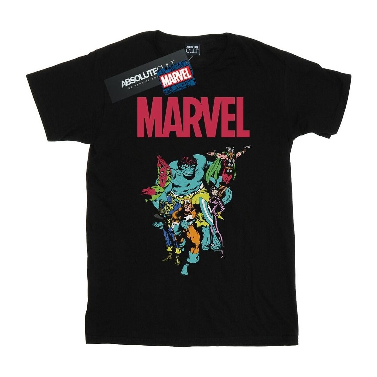 Abbigliamento Uomo T-shirts a maniche lunghe Marvel Avengers Pop Group Nero