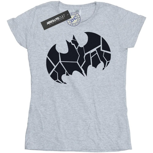 Abbigliamento Donna T-shirts a maniche lunghe Dc Comics Batman One Colour Shield Grigio
