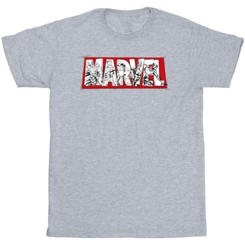 Abbigliamento Uomo T-shirts a maniche lunghe Marvel Avengers Infill Grigio