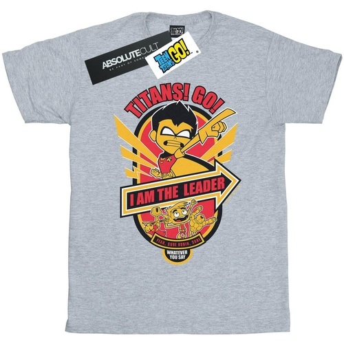 Abbigliamento Bambino T-shirt maniche corte Dc Comics Teen Titans Go I Am The Leader Grigio