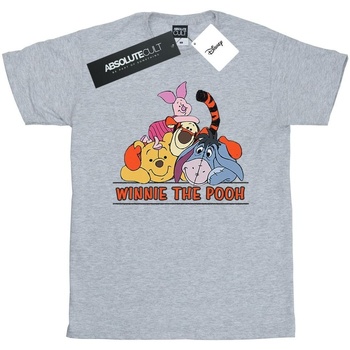 Abbigliamento Bambino T-shirt maniche corte Disney Winnie The Pooh Group Grigio