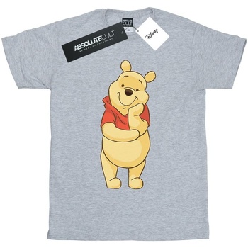 Abbigliamento Bambino T-shirt maniche corte Disney Winnie The Pooh Cute Grigio