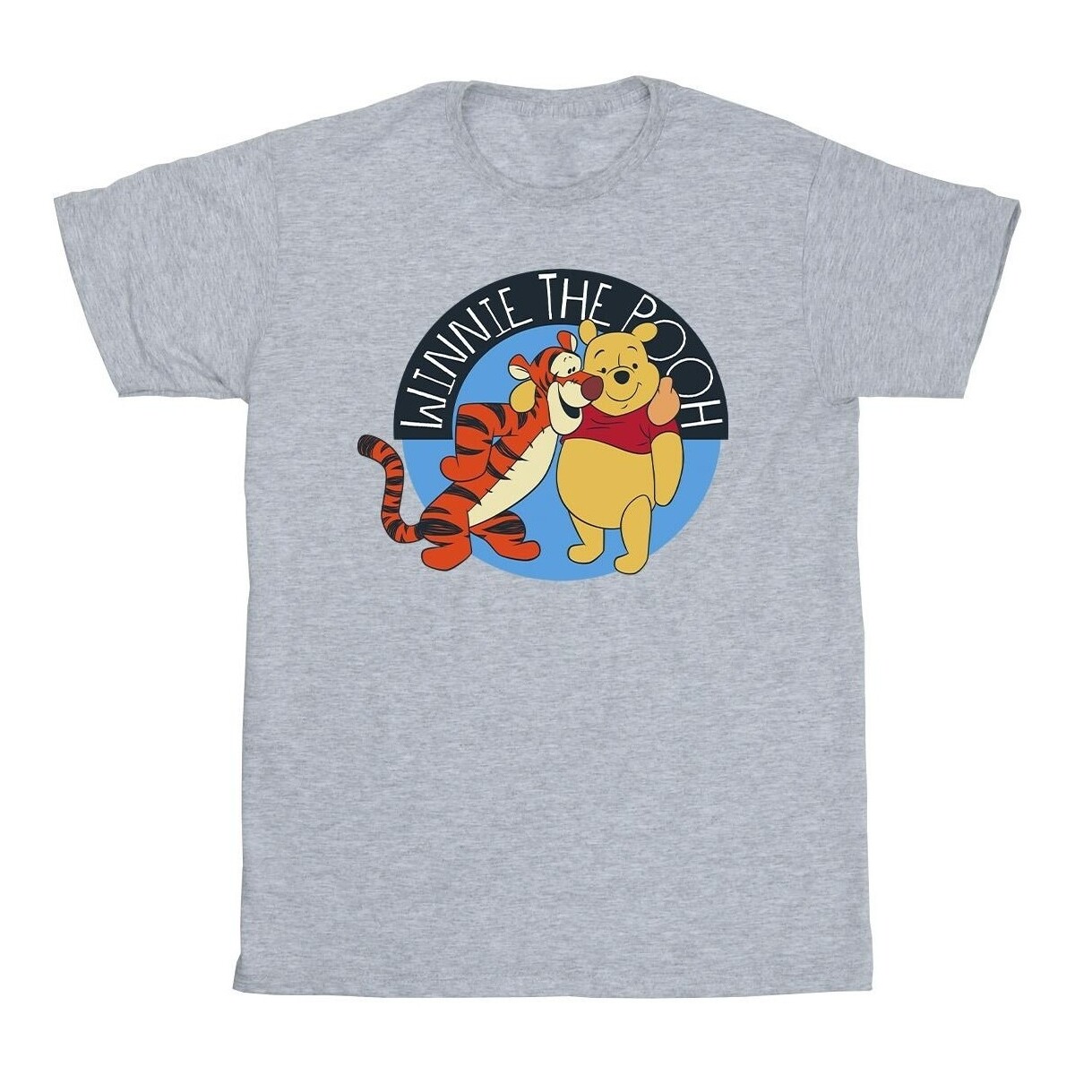 Abbigliamento Bambino T-shirt maniche corte Disney Winnie The Pooh With Tigger Grigio