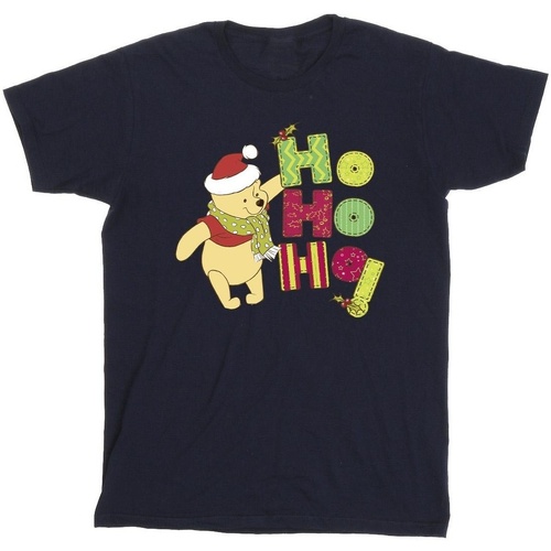Abbigliamento Bambino T-shirt maniche corte Disney Winnie The Pooh Ho Ho Ho Scarf Blu