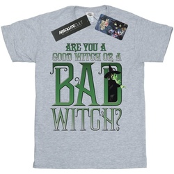 Abbigliamento Bambino T-shirt maniche corte The Wizard Of Oz Good Witch Bad Witch Grigio