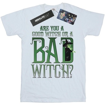 Abbigliamento Bambino T-shirt & Polo The Wizard Of Oz Good Witch Bad Witch Bianco