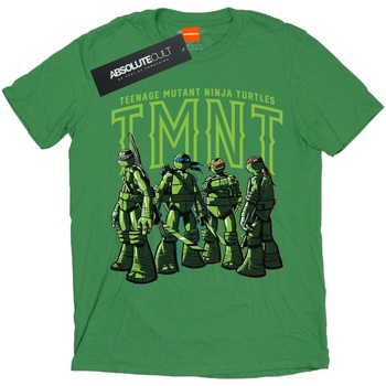 Abbigliamento Uomo T-shirts a maniche lunghe Tmnt Retro Pop Squad Verde