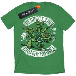 Abbigliamento Uomo T-shirts a maniche lunghe Tmnt Respect The Brotherhood Verde