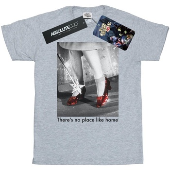 Abbigliamento Donna T-shirts a maniche lunghe The Wizard Of Oz Ruby Slippers Photo Grigio