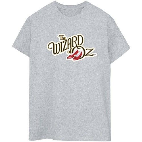 Abbigliamento Donna T-shirts a maniche lunghe The Wizard Of Oz Shoes Logo Grigio