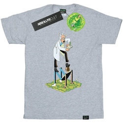 Abbigliamento Uomo T-shirts a maniche lunghe Rick And Morty Stylised Characters Grigio