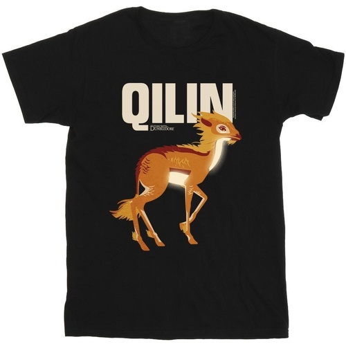 Abbigliamento Bambino T-shirt maniche corte Fantastic Beasts: The Secrets Of Qilin Character Nero