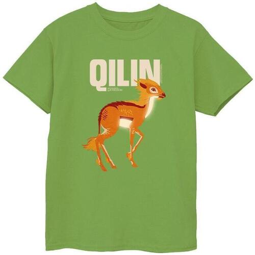 Abbigliamento Bambino T-shirt maniche corte Fantastic Beasts: The Secrets Of Qilin Character Multicolore