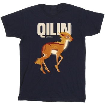 Abbigliamento Bambino T-shirt maniche corte Fantastic Beasts: The Secrets Of Qilin Character Blu