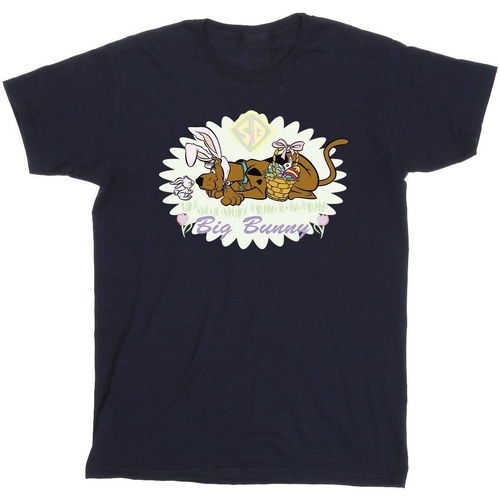 Abbigliamento Uomo T-shirts a maniche lunghe Scooby Doo Big Bunny Blu