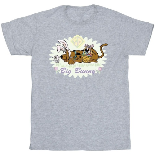 Abbigliamento Uomo T-shirts a maniche lunghe Scooby Doo Big Bunny Grigio