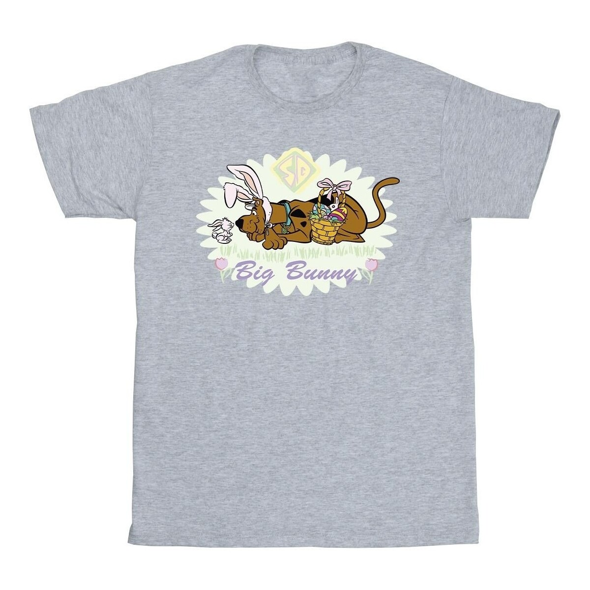 Abbigliamento Uomo T-shirts a maniche lunghe Scooby Doo Big Bunny Grigio